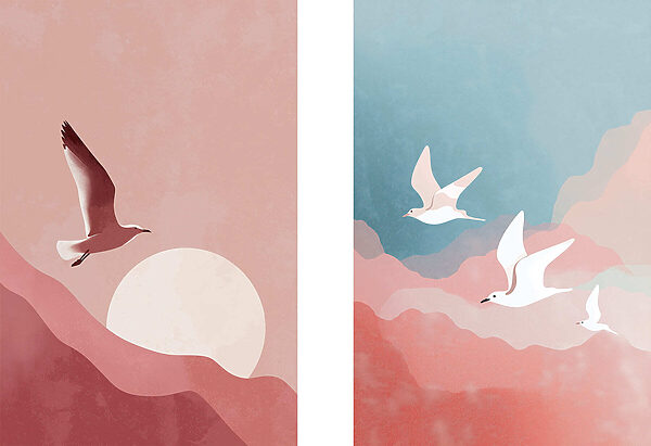 Two birds flying in the sky Two birds flying in the sky