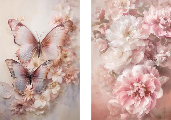 Two butterflies on a flower Two butterflies on a flower