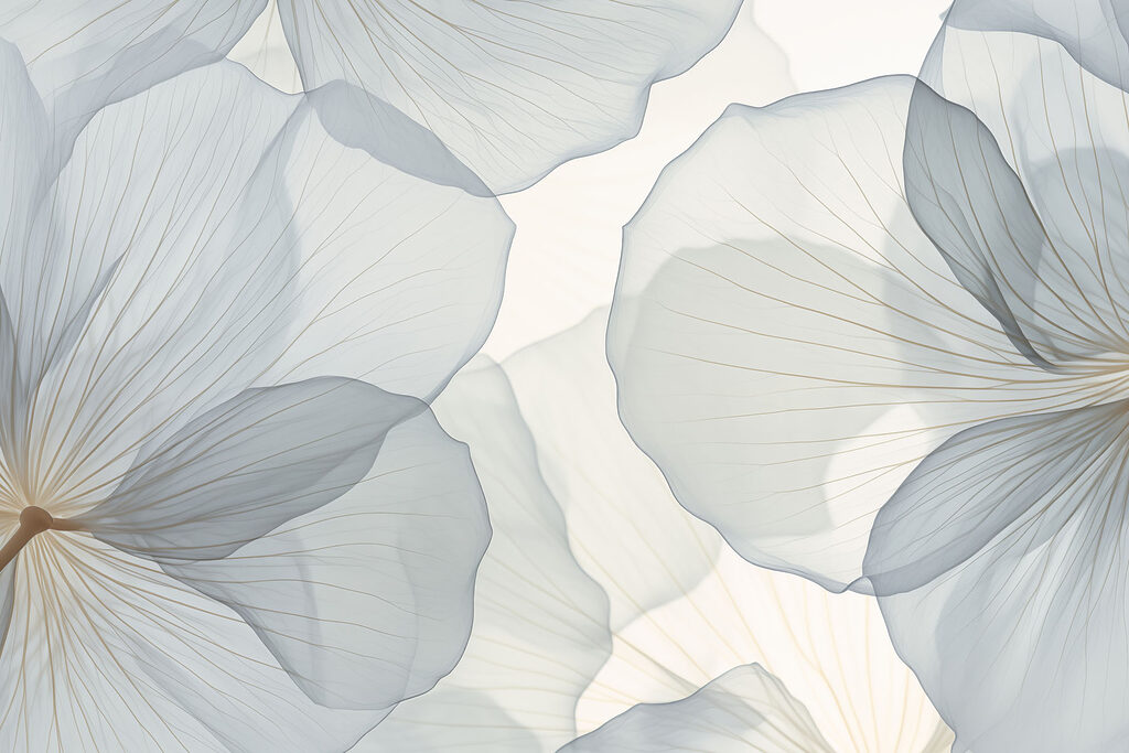 Delicate petals in soft hues Delicate petals in soft hues