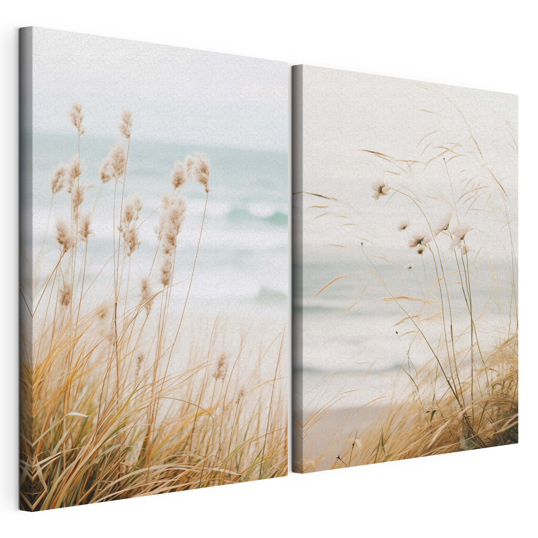 Gentle breeze over coastal grass Gentle breeze over coastal grass