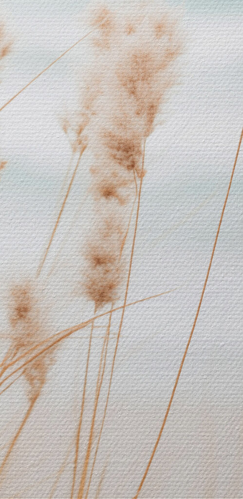 Gentle breeze over coastal grass Gentle breeze over coastal grass