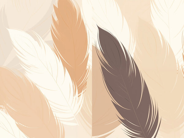Soft hues of elegant feathers Soft hues of elegant feathers