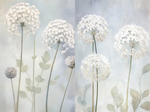 Collage of white flowers