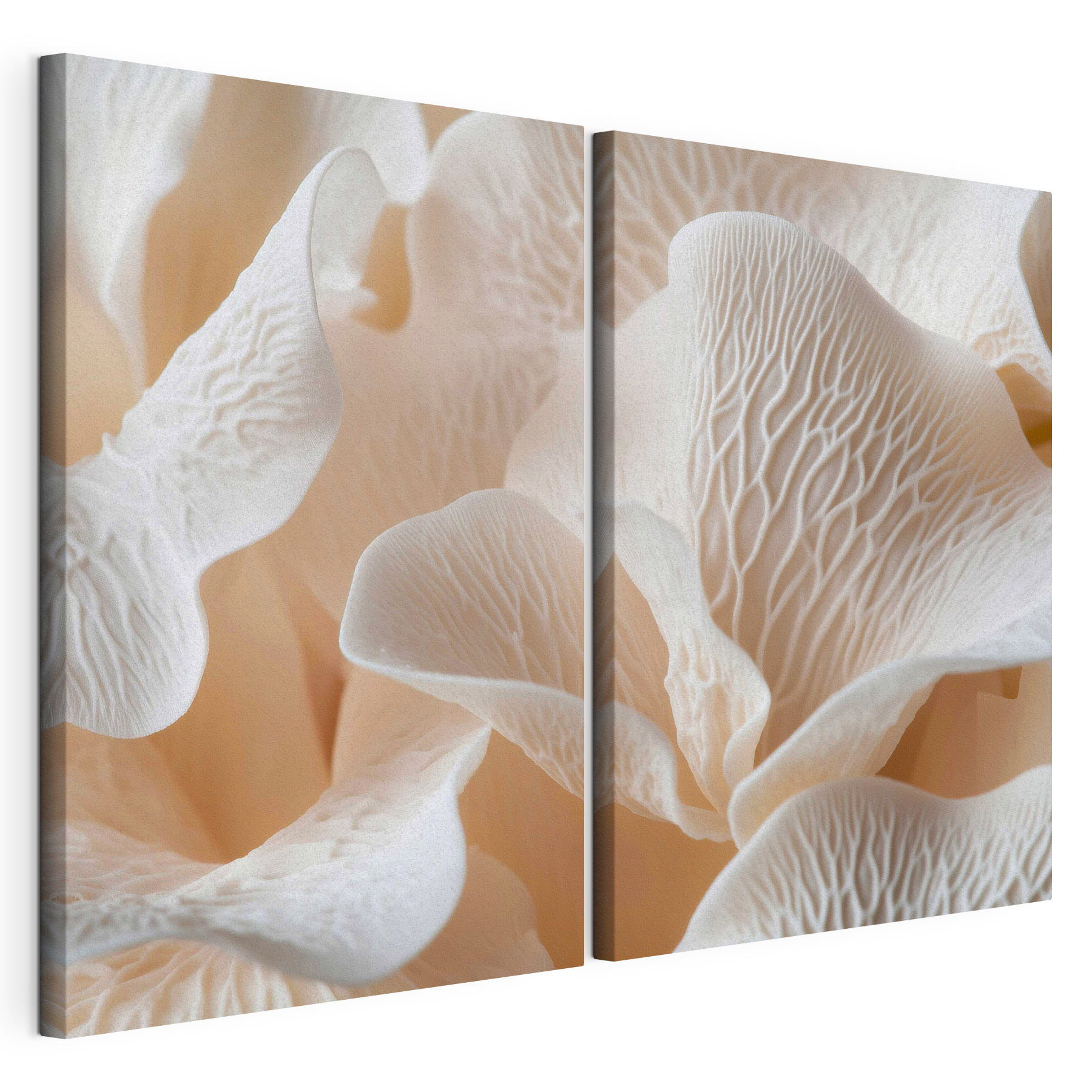 Whimsical petal formations in soft hues Whimsical petal formations in soft hues