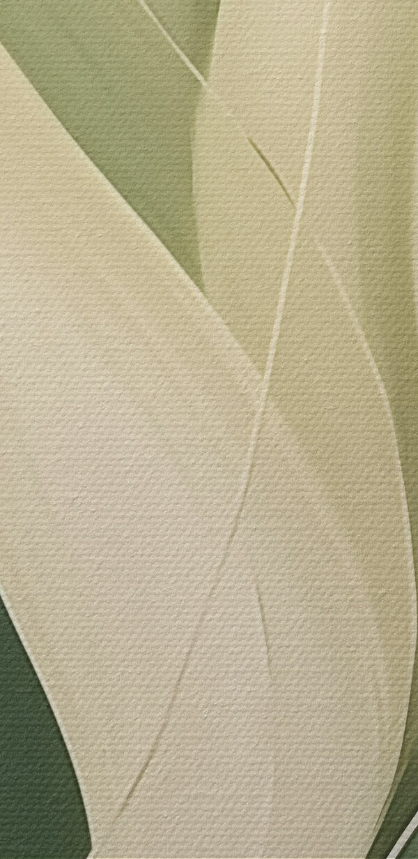 Gentle waves of green and cream
