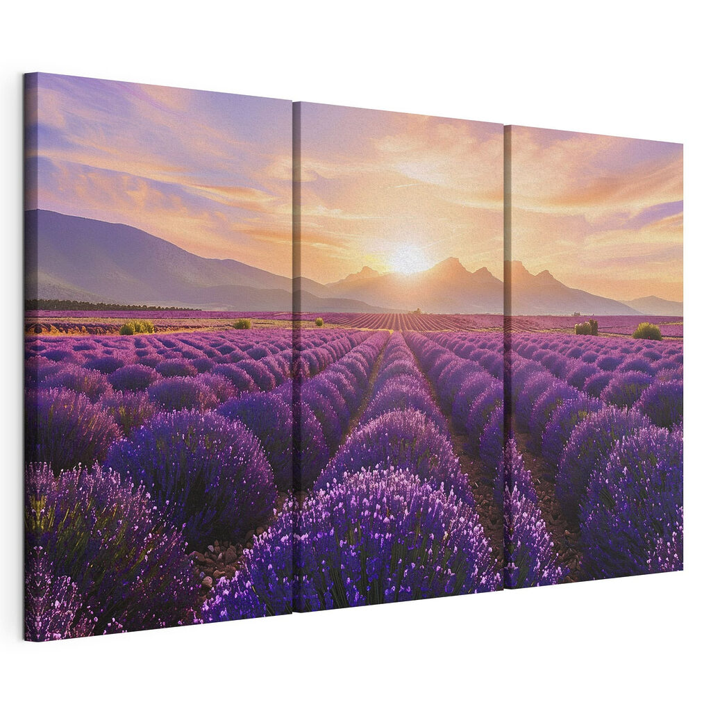 Lavender field with mountains in the background