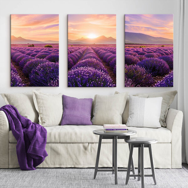 Lavender field with mountains in the background