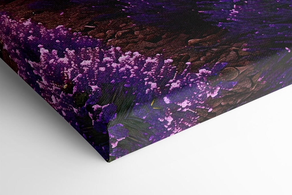 Lavender field with mountains in the background