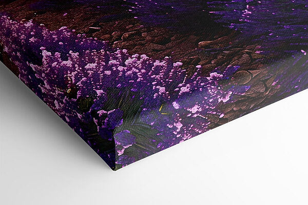 Lavender field with mountains in the background