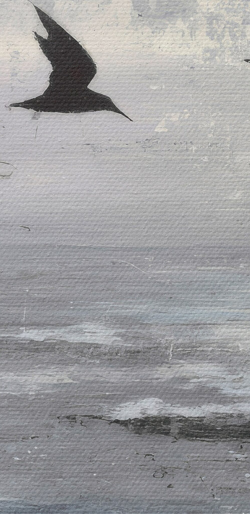 Group of birds flying over water