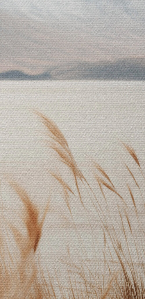 Serene landscape with swaying grass Serene landscape with swaying grass