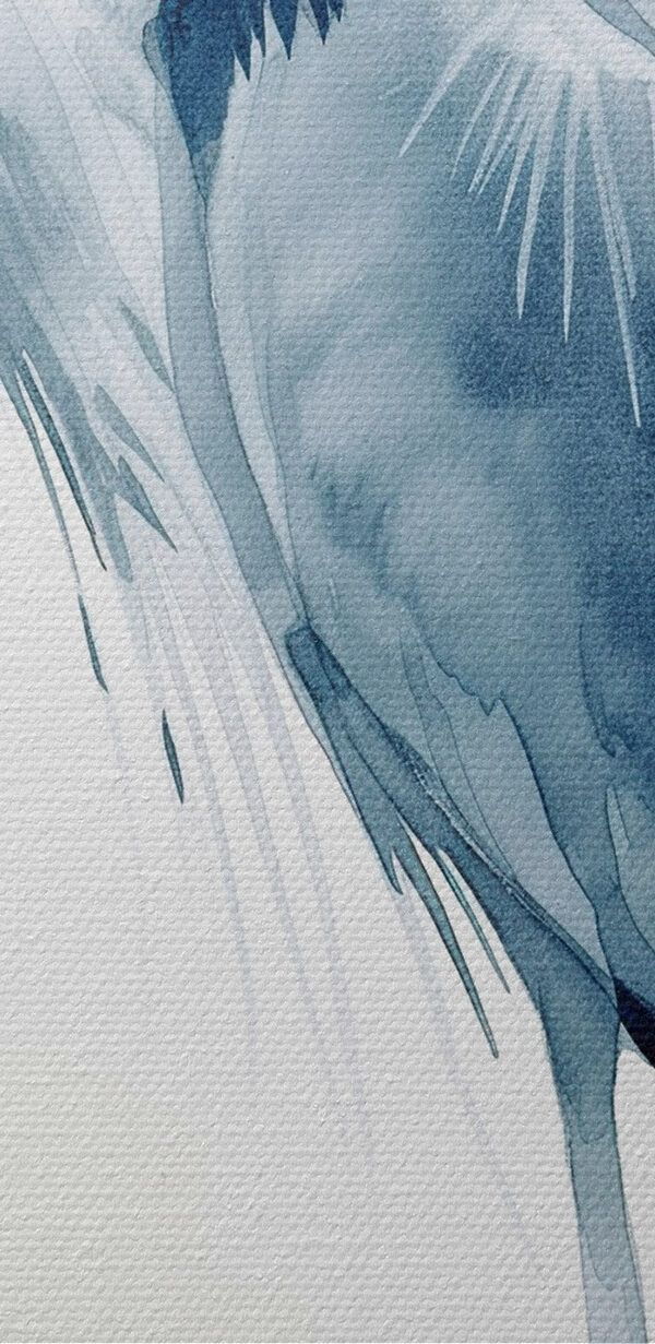Watercolor of a bird Watercolor of a bird