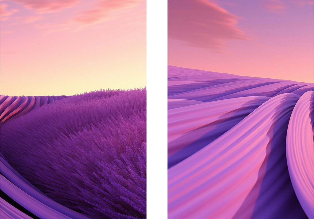 Lavender field with pink and purple sky Lavender field with pink and purple sky