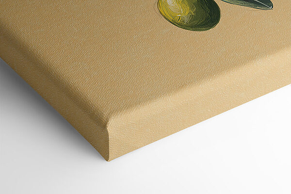 - Fresh olives on elegant branches - Fresh olives on elegant branches