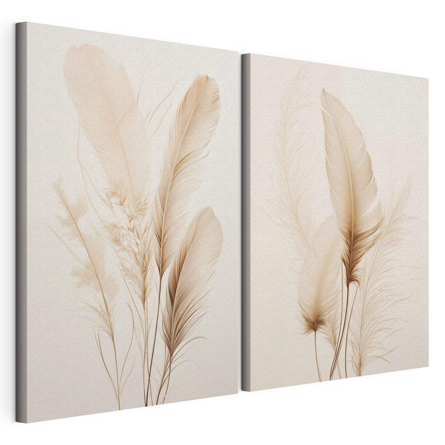 Delicate feathers softly arranged together Delicate feathers softly arranged together