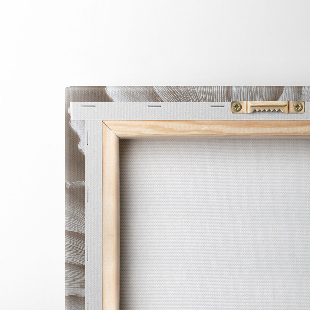 - Elegant forms in soft hues - Elegant forms in soft hues