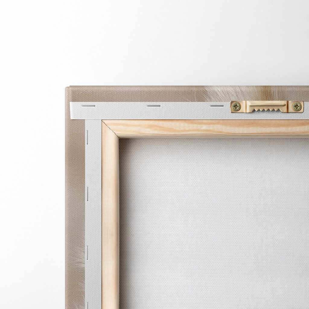 Delicate feathery plants in harmony Delicate feathery plants in harmony