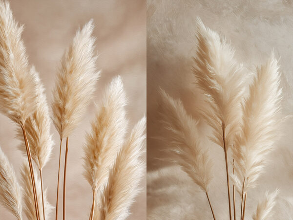 Delicate feathery plants in harmony Delicate feathery plants in harmony