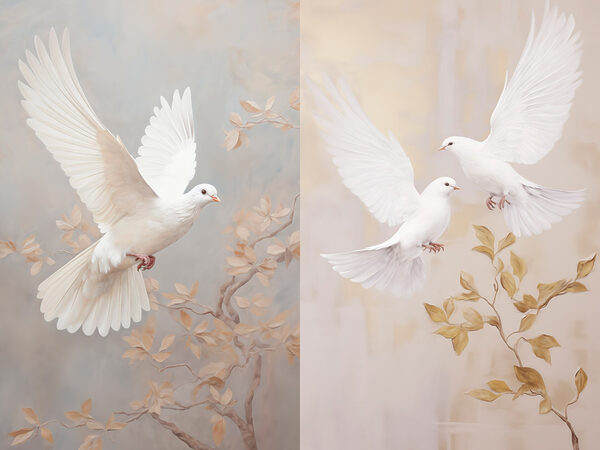 Collage of two white birds Collage of two white birds