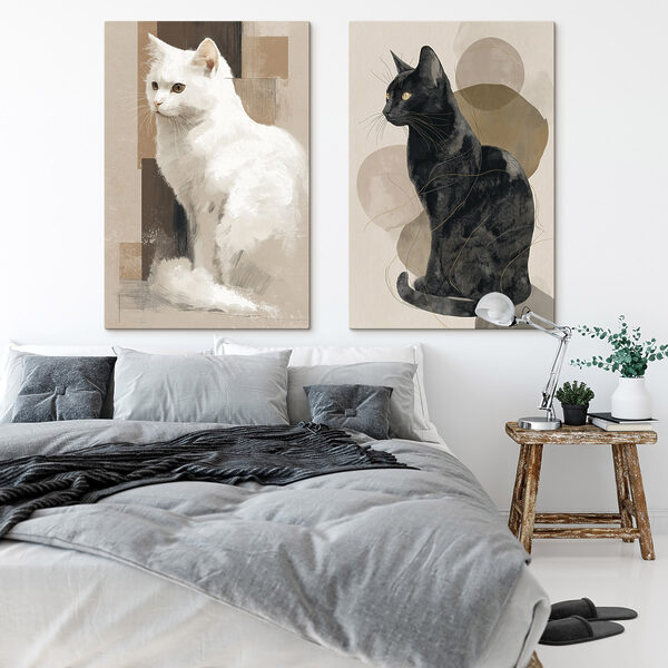 White cat and black cat White cat and black cat