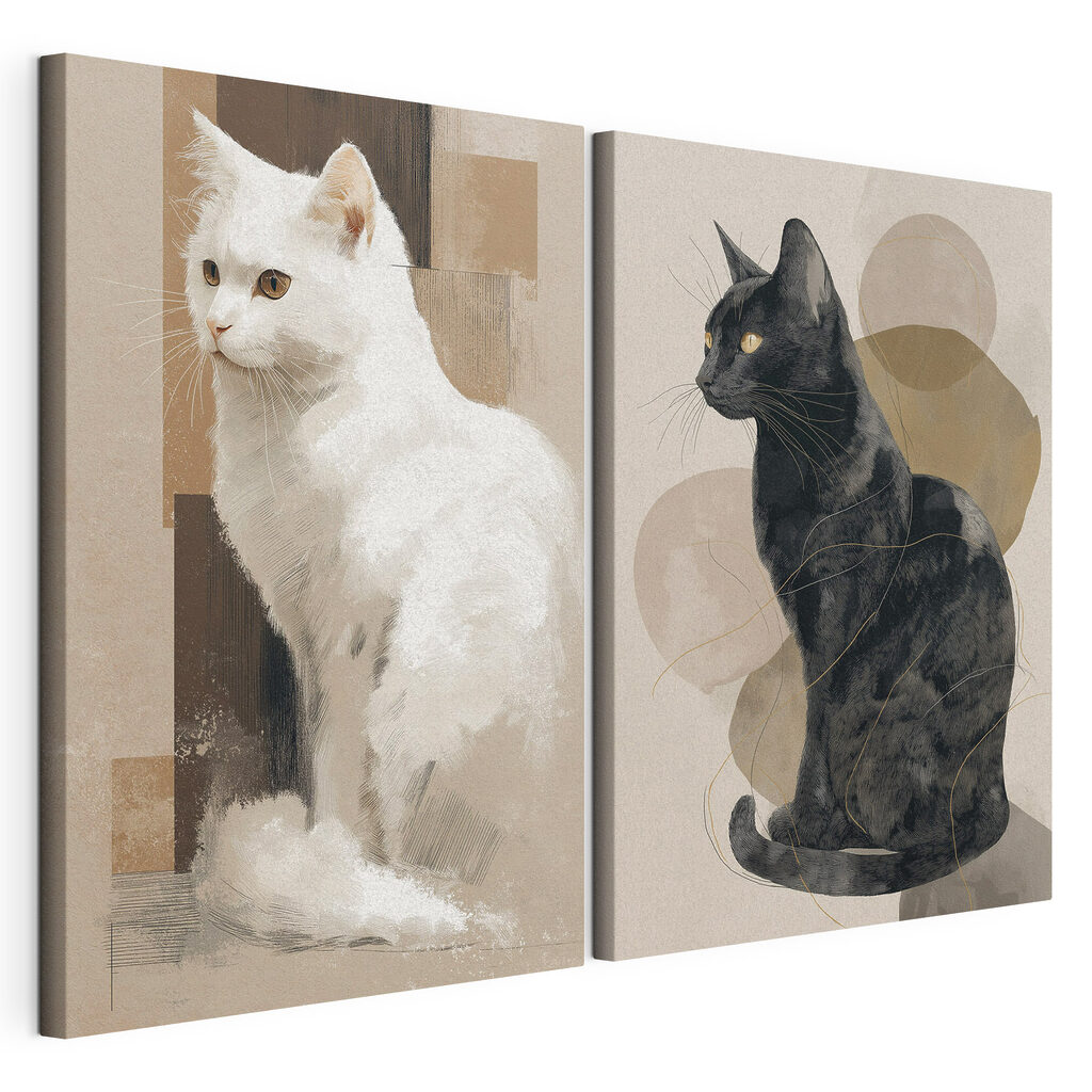 White cat and black cat White cat and black cat