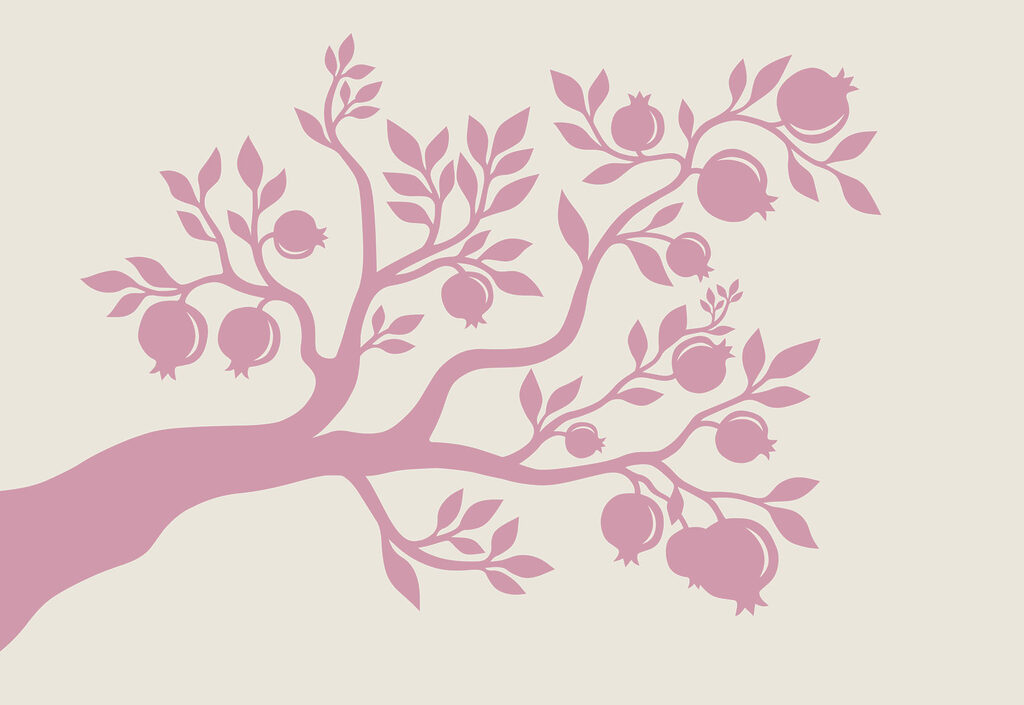Tree with pink branches and fruit Tree with pink branches and fruit