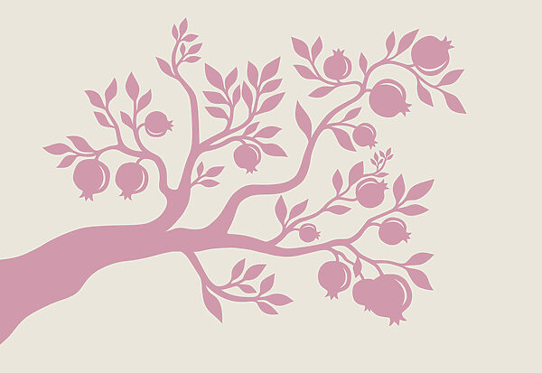 Tree with pink branches and fruit Tree with pink branches and fruit