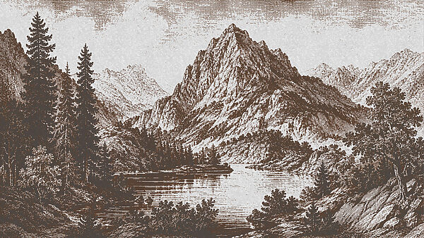 Mountain range with trees and a lake