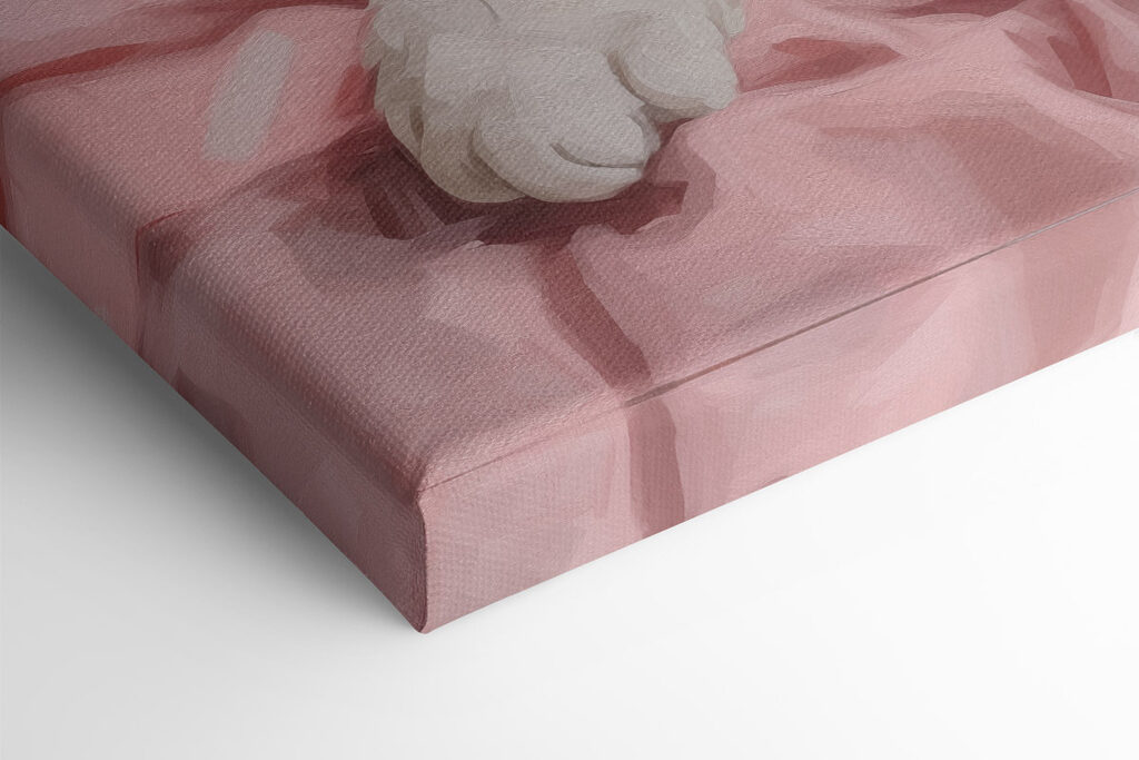 Cat lying in a blanket Cat lying in a blanket