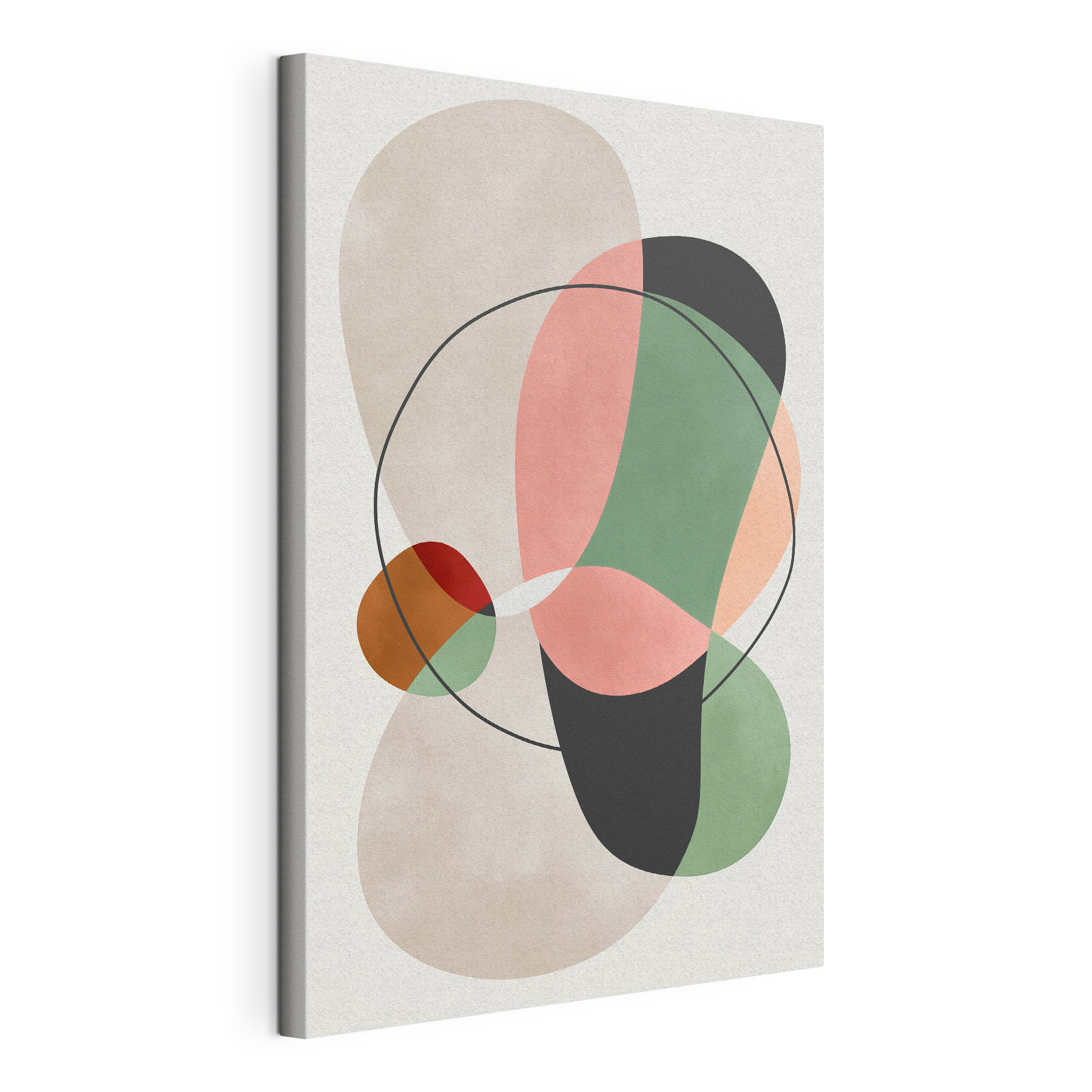 Colorful art piece with circles and lines