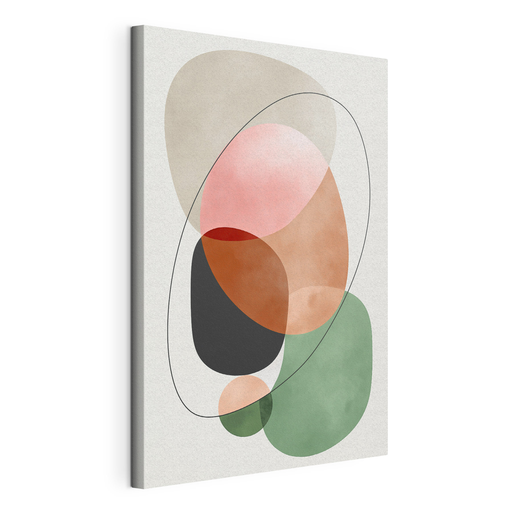 Colorful circles and lines Colorful circles and lines