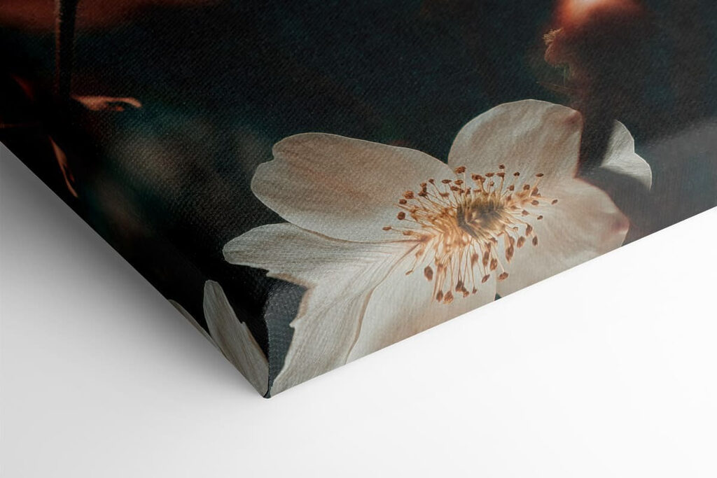 Delicate blooms in soft hues Delicate blooms in soft hues