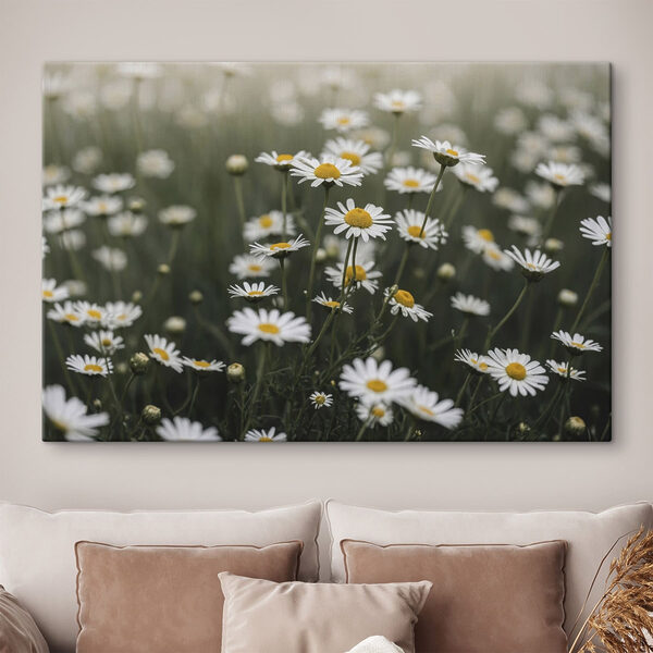 Group of white and yellow flowers