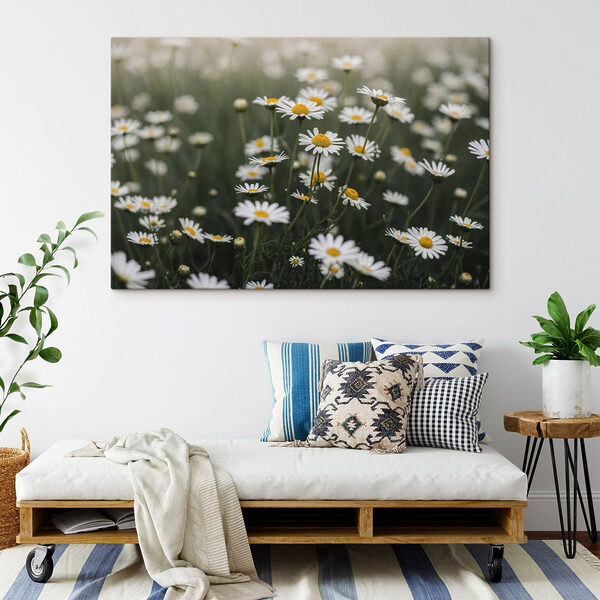 Group of white and yellow flowers