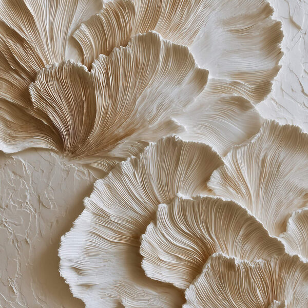 Elegant patterns of flowing shapes Elegant patterns of flowing shapes