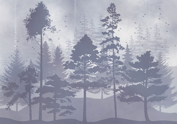 Group of trees in a foggy forest