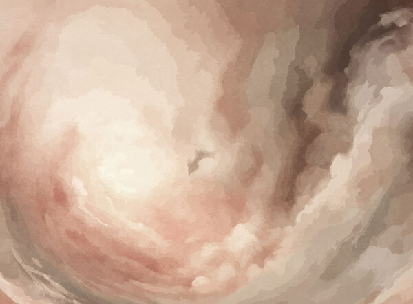 Pink and white clouds