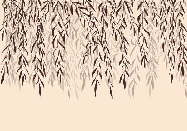 Delicate leaves cascading softly down Delicate leaves cascading softly down
