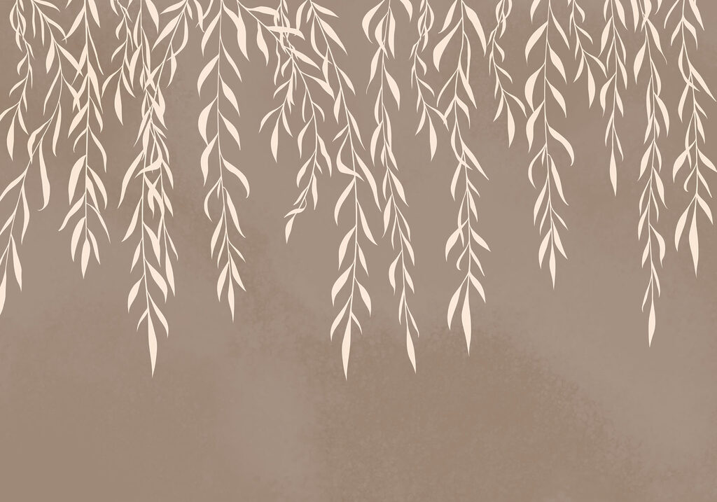 Delicate leaves draping gracefully down