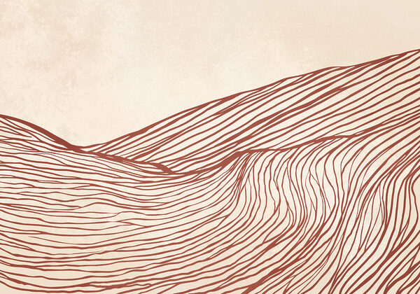 Red lines on a white background