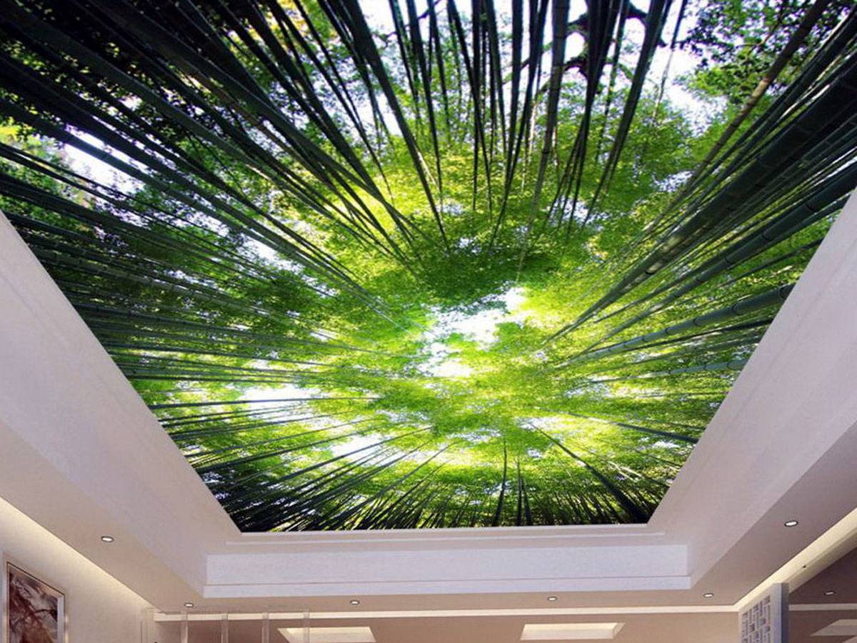 Цікаві ідеї по обробці стелі