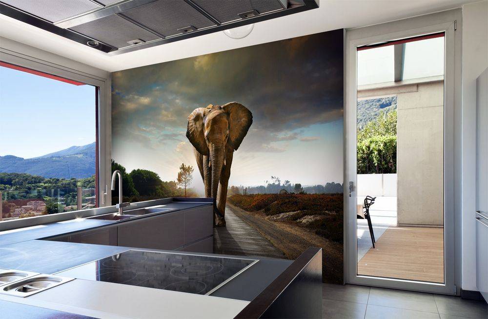 фотошпалери зі слоном в інтер'єрі по фен-шуй